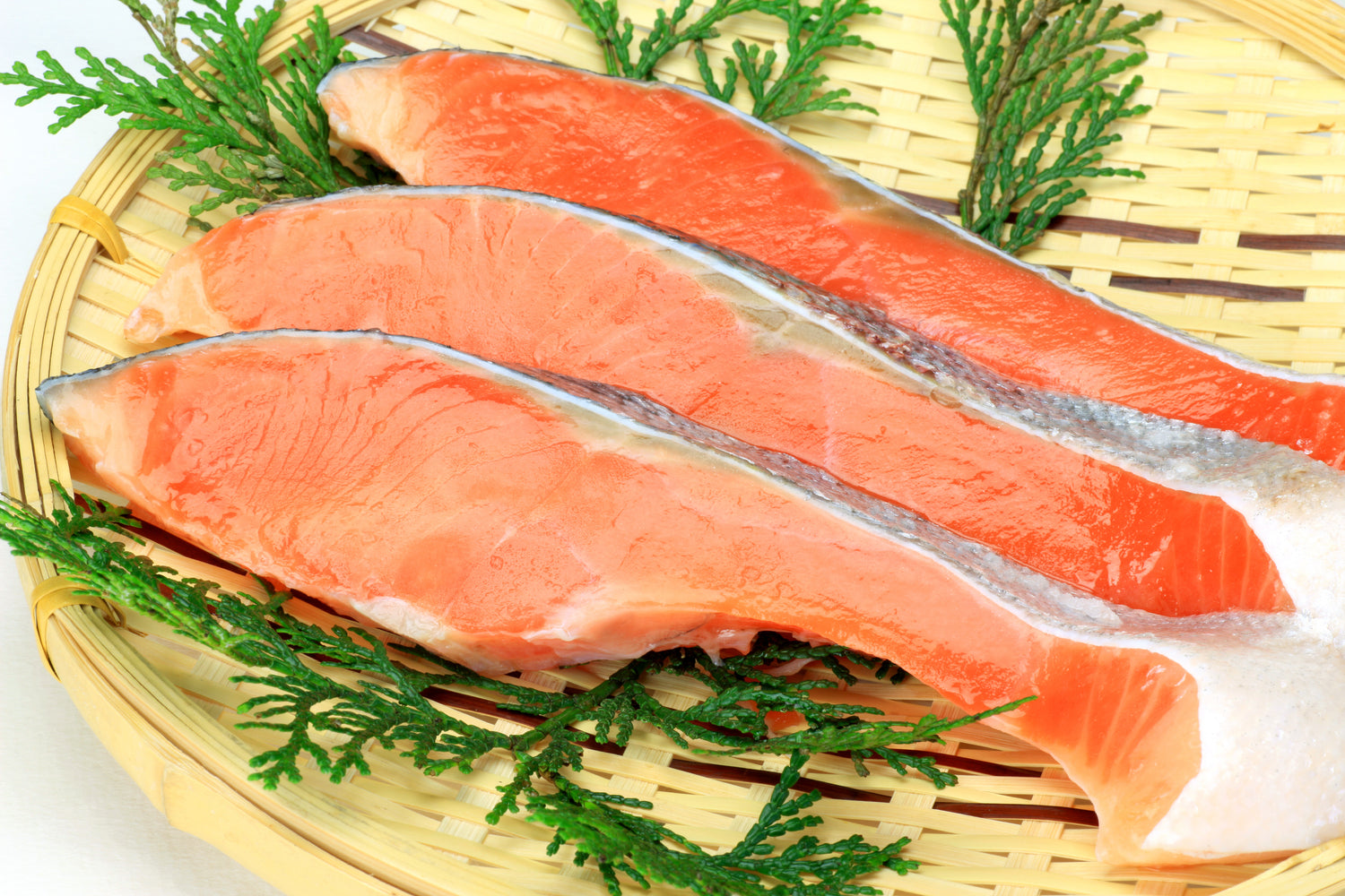 King Salmon Kama (Collars)
