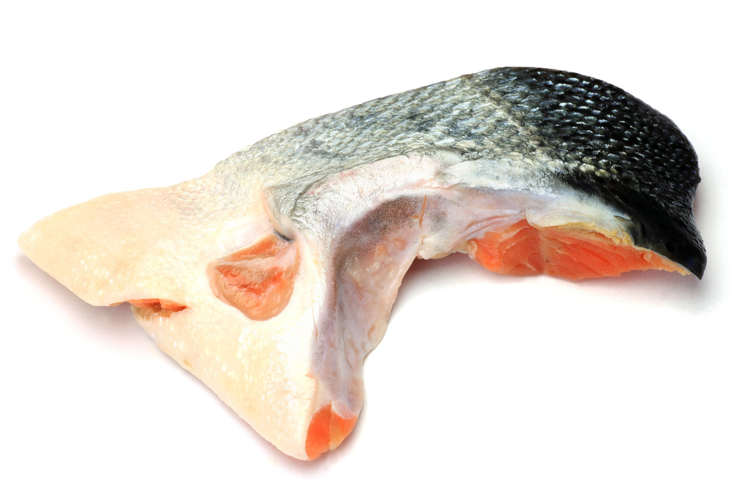 King Salmon Kama (Collars)