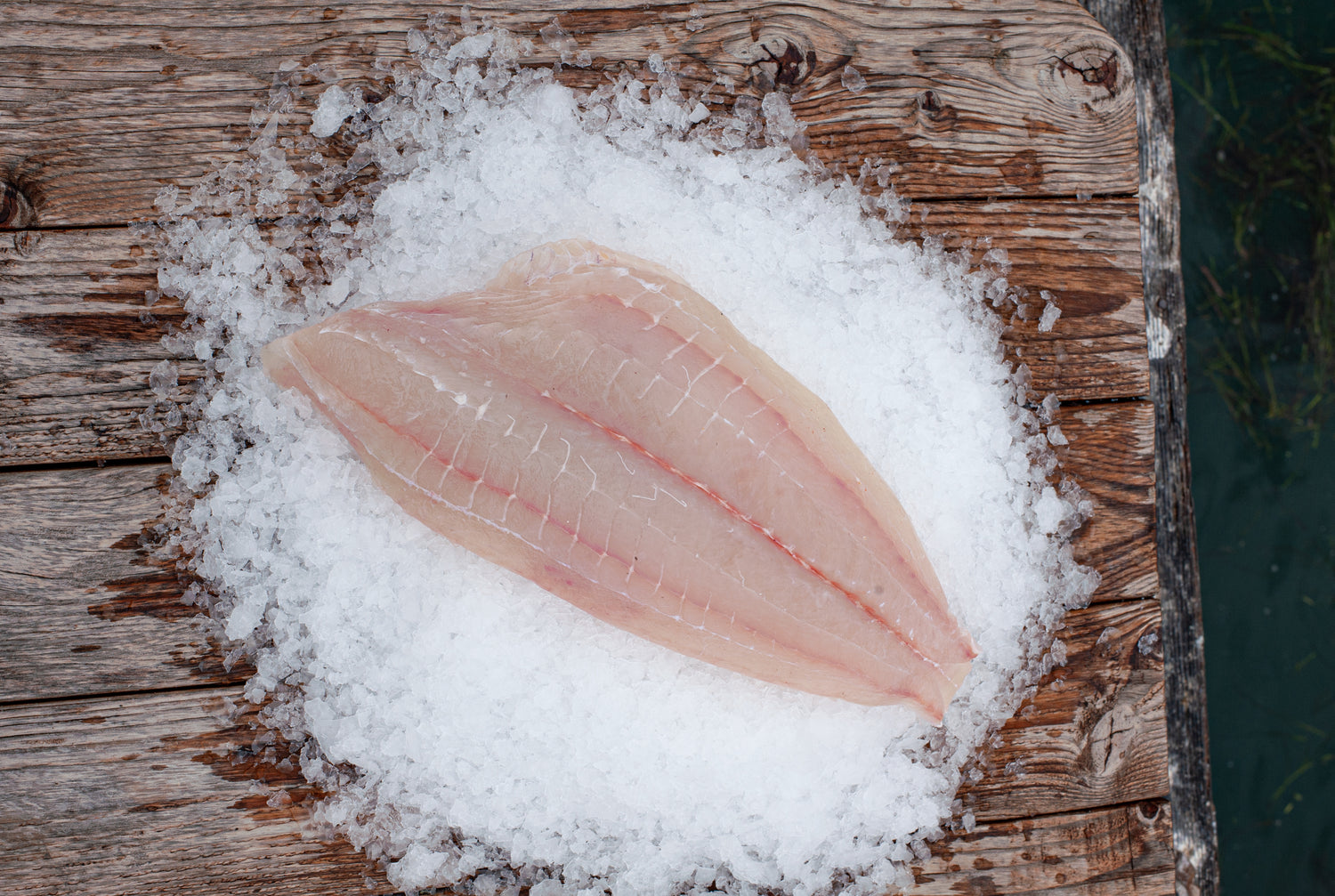 🍽️ Grinch’s Dinner for One 💚