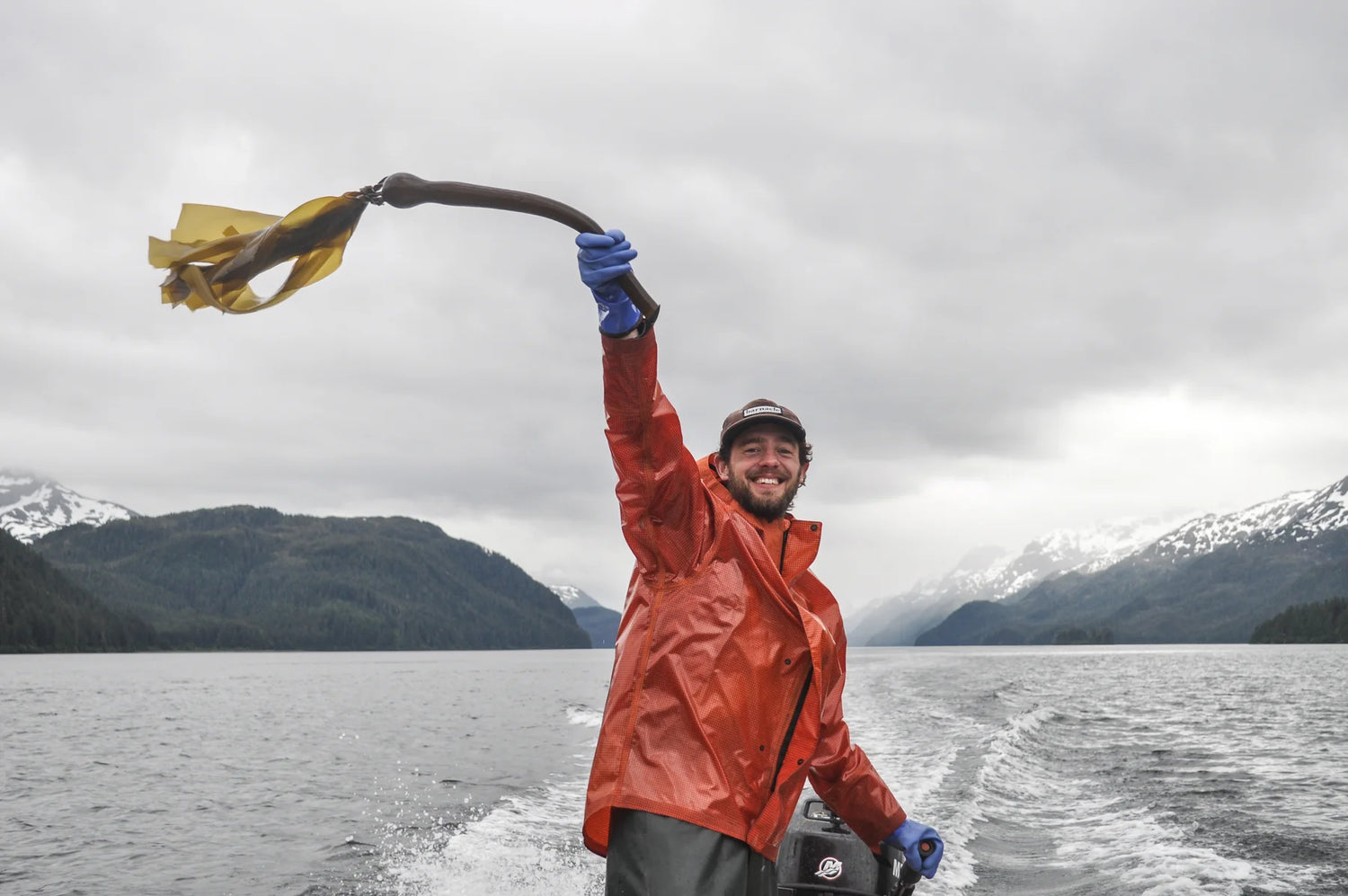 Bullwhip Kelp Hot Sauce by Barnacle Foods