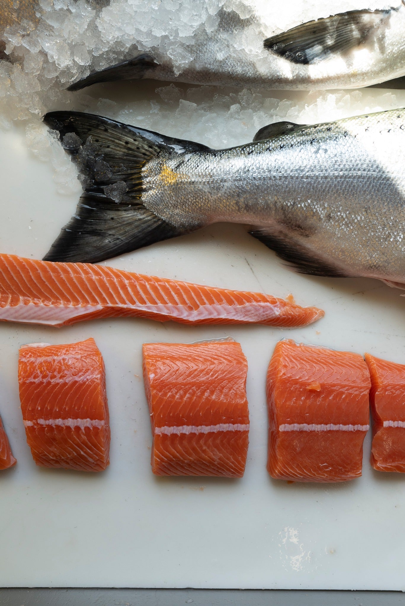 🎌 What is Ikijime — And Why Alaska Should Start Using It 🧠🐟