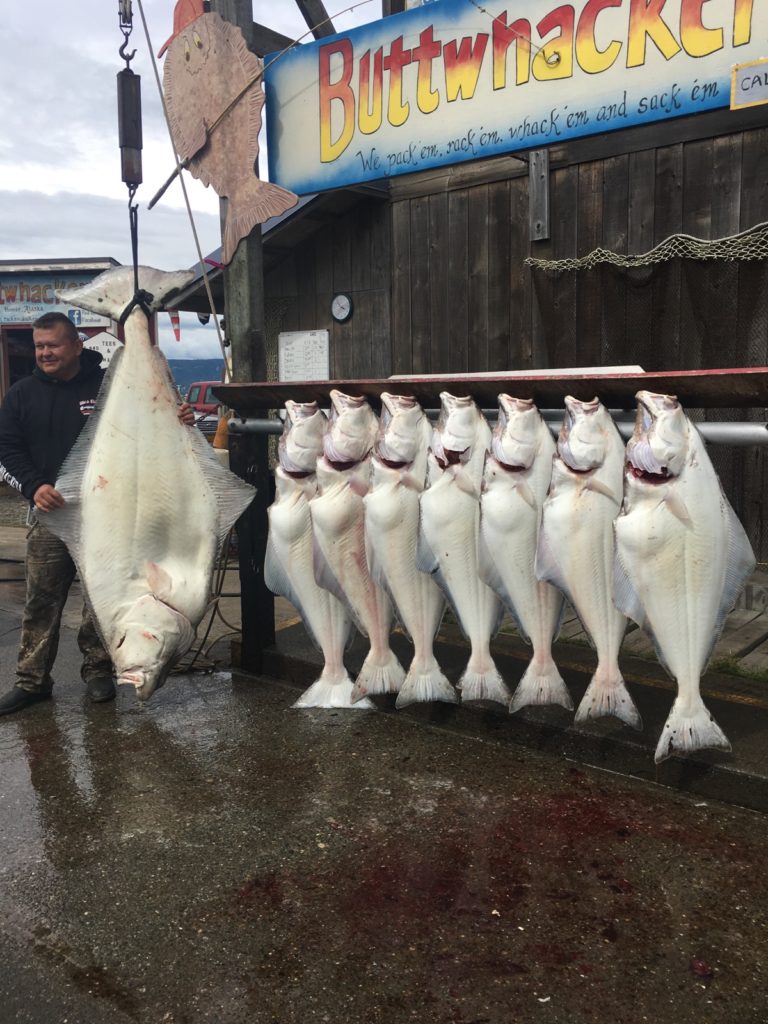 Catch of the day from Alaskan deep-sea fishing adventure
